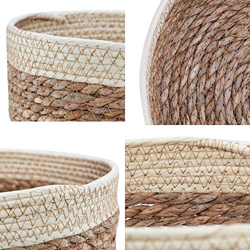 Round Rattan Baskets Set for Organizing Wicker Storage Basket for Fruit, Bread Serving Decorative Gift Baskets Empty, Countertop Baskets for Pantry...